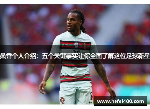 桑乔个人介绍：五个关键事实让你全面了解这位足球新星