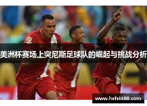 美洲杯赛场上突尼斯足球队的崛起与挑战分析