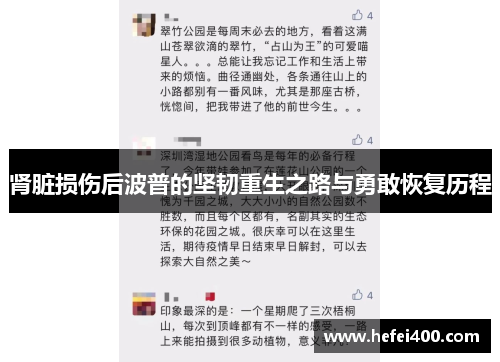 肾脏损伤后波普的坚韧重生之路与勇敢恢复历程
