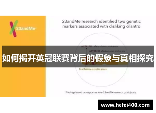 如何揭开英冠联赛背后的假象与真相探究