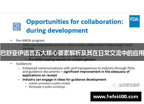 巴舒亚伊语言五大核心要素解析及其在日常交流中的应用