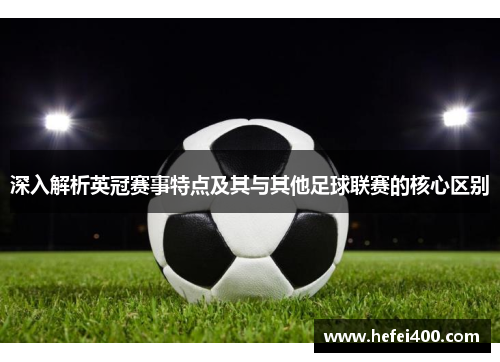 深入解析英冠赛事特点及其与其他足球联赛的核心区别