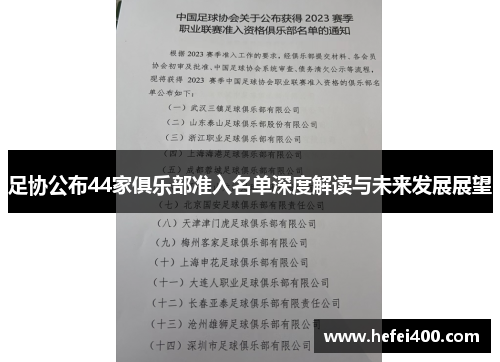 足协公布44家俱乐部准入名单深度解读与未来发展展望